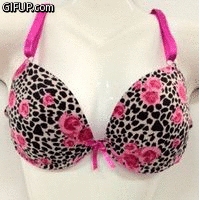 Two Pack Push Up Bras