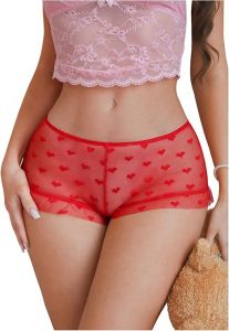 Sheer See Through Panties With Hearts Assorted Colors