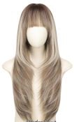 Long Ombre Platinum And Ash Brown Wig