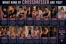 What Type Of Crossdresser Are You?