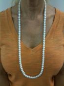 Long Pearl Necklace